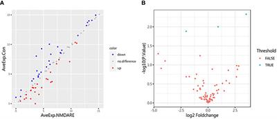 Identification of cerebrospinal fluid biomarker candidates for anti-N-methyl-D-aspartate receptor encephalitis: High-throughput proteomic investigation